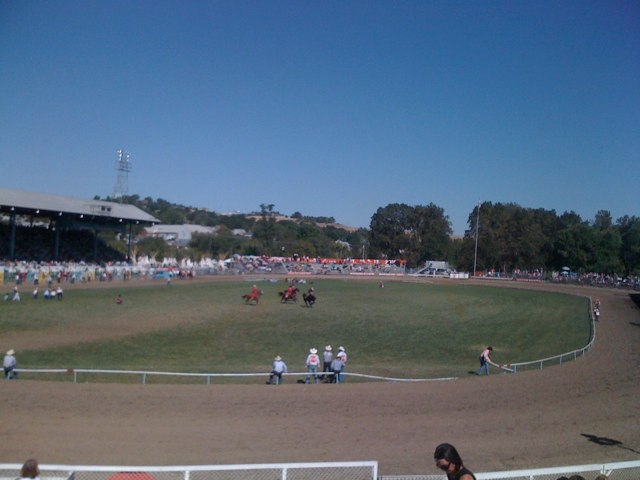 Pendleton Rodeo